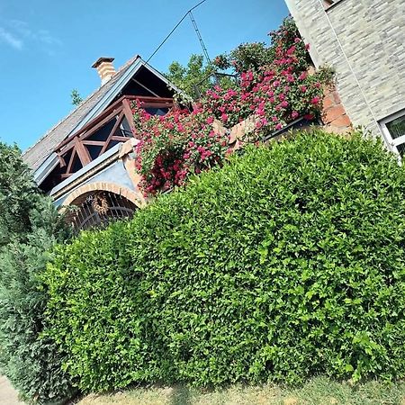 Apartman Vrdnicak Vrdnik Buitenkant foto