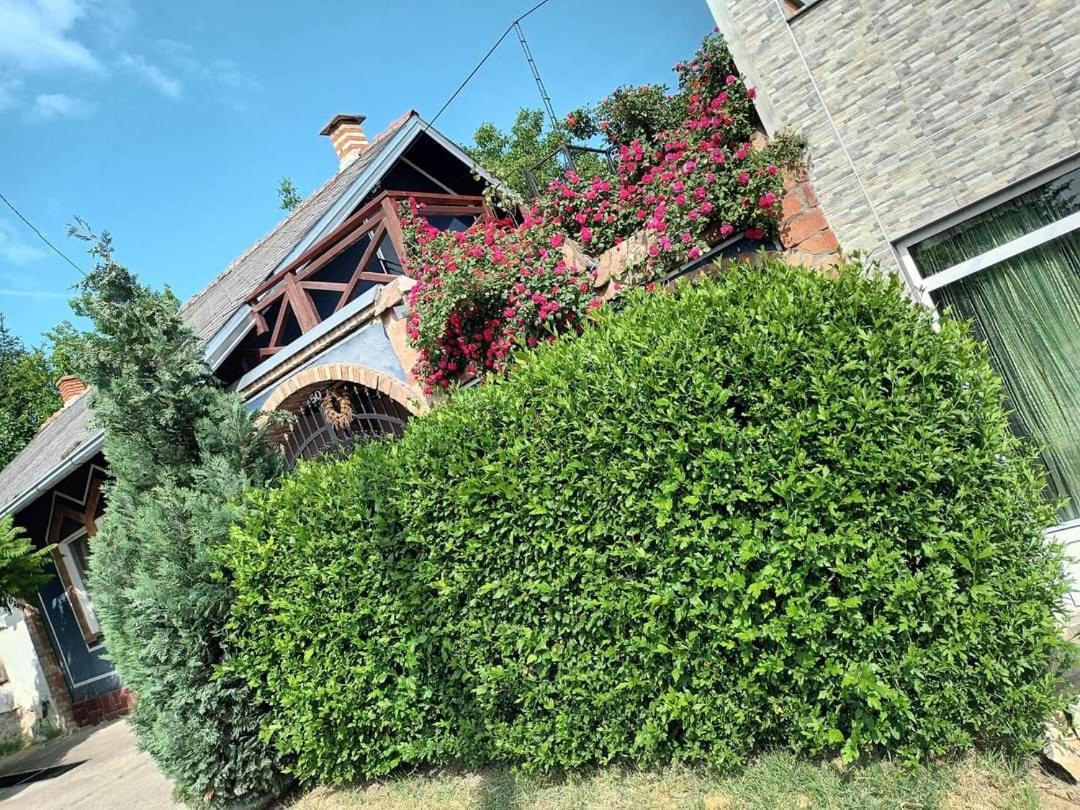Apartman Vrdnicak Vrdnik Buitenkant foto