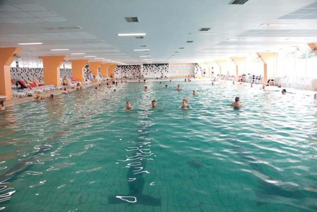Apartman Vrdnicak Vrdnik Buitenkant foto