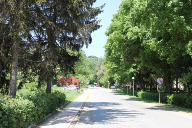 Apartman Vrdnicak Vrdnik Buitenkant foto