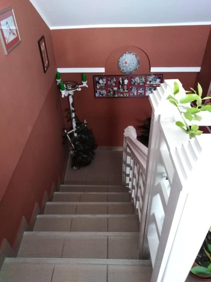 Apartman Vrdnicak Vrdnik Buitenkant foto